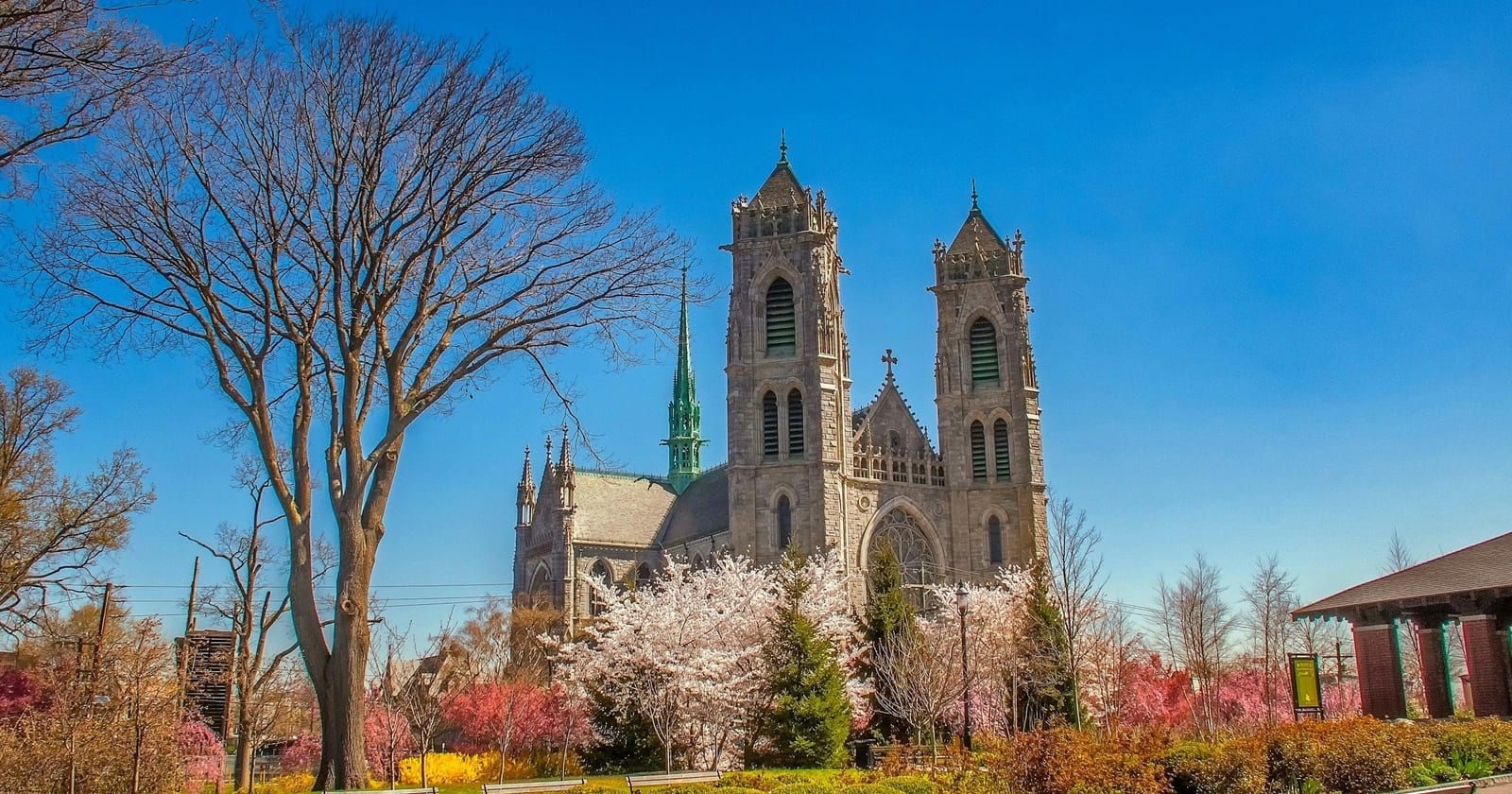 Cathedral Basilica of the Sacred Heart above blossoming trees, Newark, New Jersey